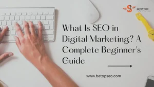 What Is SEO in Digital Marketing? A Complete Beginner's Guide