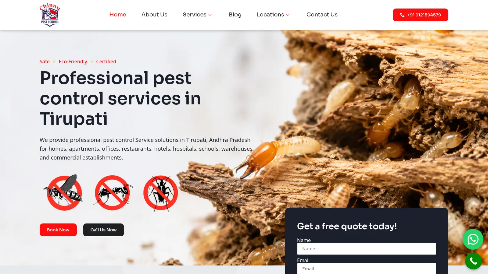 Chinnu Pest Control — BeTopSEO portfolio